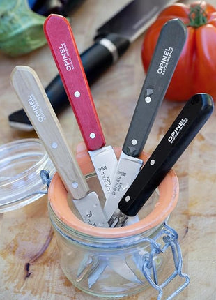 Opinel Essentials Kitchen Knives Box Set - Loft