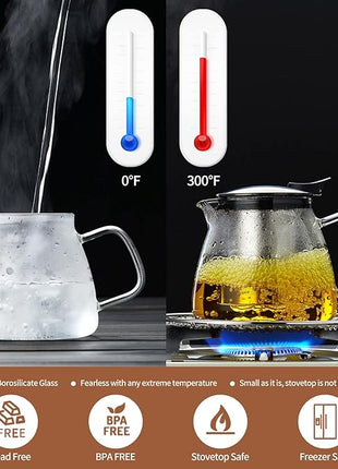 Glass Teapot Tea Pot with Removable Stainless Steel Infuser, 25oz / 760ml Borosilicate Glass Tea Kettle for Office Work, Fine Strainer for Loose Leaf Tea