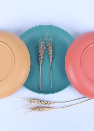 LuckyZone 8.8 Inches Unbreakable Wheat Straw Plates - Reusable Plate Dinner Set - Dishwasher & Microwave Safe - Healthy, BPA Free & Eco-Friendly (8.8 Inches/4 Color_H)