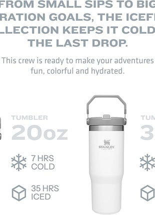 Stanley IceFlow Stainless Steel Tumbler - Vacuum Insulated Water Bottle for Home, Office or Car Reusable Cup with Straw Leak Resistant Flip Cold for 12 Hours or Iced for 2 Days