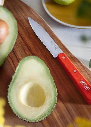 OPINEL Les Essentials - Small Kitchen 4 Piece Set - Paring, Serrated, Vegetable Knife, Peeler - Corrosion Resistant High Carbon Steel - Made in France (Primo)