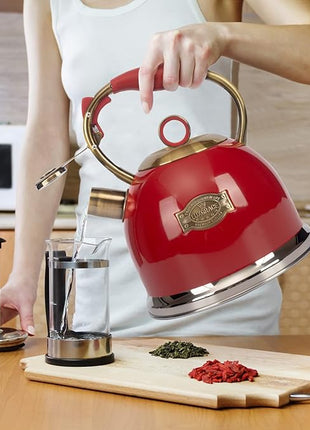 Tea Kettle, Stovetop Whistling Teapot, Stainless Steel, Black, 3.0-Quart