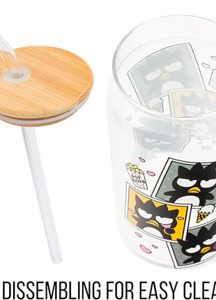 Silver Buffalo Sanrio Hello Kitty and Friends Badtz-Maru Polaroids Glass Jar Tumbler with Bamboo Lid and Glass Straw, 16 Ounces