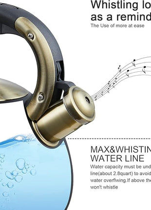 Stove Top Whistling Tea Kettle- Stainless Steel Teakettle Teapot with Ergonomic Handle 2.6 Quart(Black)