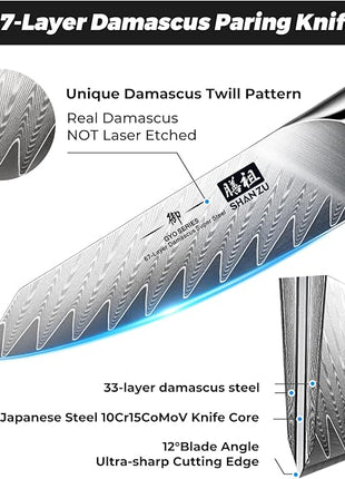 SHAN ZU Damascus Paring Knife Fruit Knife 4 Inch Professional Kitchen Knives, Japanese Damascus High Carbon Steel 67-Layer Fruit Carving Knives with G10 Handle/Gift Box