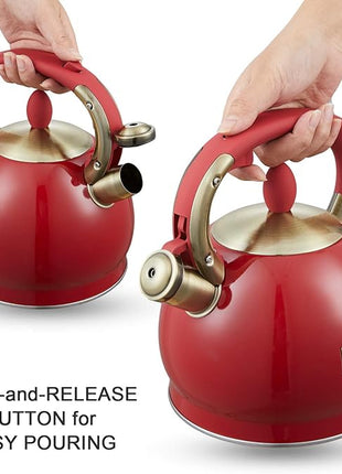 Tea Kettle -2.8 Quart Tea Kettles Stovetop Whistling Teapot Stainless Steel Tea Pots for Stove Top Whistle Tea Pot