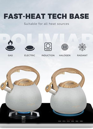 POLIVIAR Tea Kettle, 2.7 Quart Stovetop Tea Kettle, Audible Whistling Teapot with Crackle Finish, Food Grade Stainless Steel for Anti-Rust, Anti Hot Handle, Suitable for All Heat Sources (JX2023-LYW)