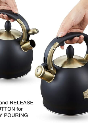Stove Top Whistling Tea Kettle- Stainless Steel Teakettle Teapot with Ergonomic Handle 2.6 Quart(Black)