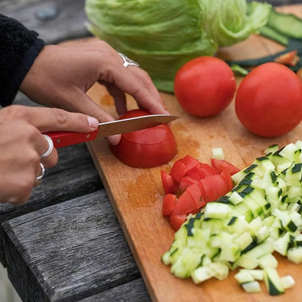 Opinel Essentials Kitchen Knives Box Set - Loft
