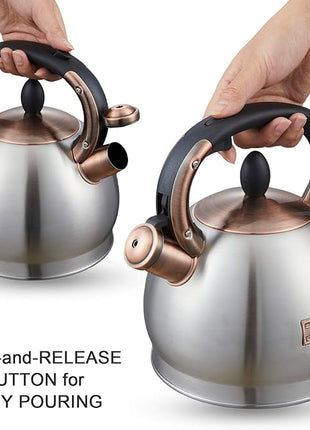 Tea Kettle -2.8 Quart Tea Kettles Stovetop Whistling Teapot Stainless Steel Tea Pots for Stove Top Whistle Tea Pot