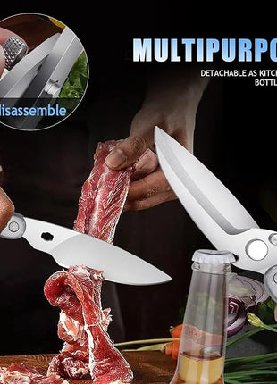 DRAGON RIOT Heavy Duty Poultry Shears - A Must Have Kitchen Shears for Chicken and Meat Cutting - Dishwasher Safe and Stainless Food Kitchen Scissors for Thanksgiving(Silver)