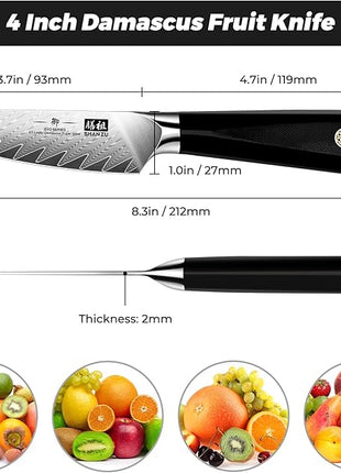 SHAN ZU Damascus Paring Knife Fruit Knife 4 Inch Professional Kitchen Knives, Japanese Damascus High Carbon Steel 67-Layer Fruit Carving Knives with G10 Handle/Gift Box