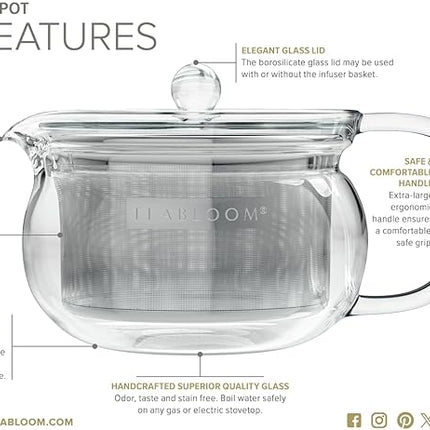 Teabloom Kyoto 2-in-1 Tea Kettle and Tea Maker – Glass Teapot with Removable Loose Tea Filter – Tea Connoisseur's Choice