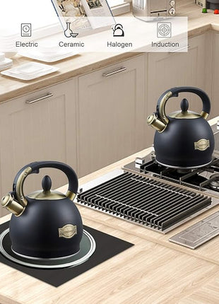 Stove Top Whistling Tea Kettle- Stainless Steel Teakettle Teapot with Ergonomic Handle 2.6 Quart(Black)