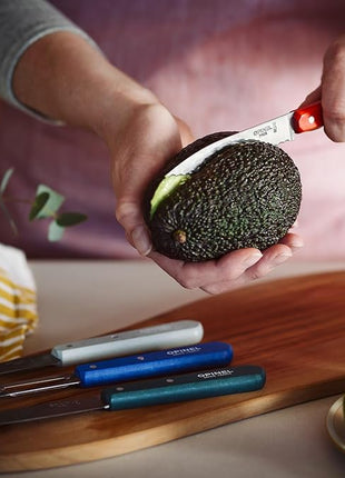 OPINEL Les Essentials - Small Kitchen 4 Piece Set - Paring, Serrated, Vegetable Knife, Peeler - Corrosion Resistant High Carbon Steel - Made in France (Primo)