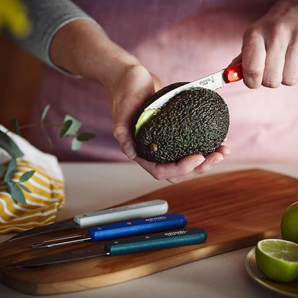 OPINEL Les Essentials - Small Kitchen 4 Piece Set - Paring, Serrated, Vegetable Knife, Peeler - Corrosion Resistant High Carbon Steel - Made in France (Primo)