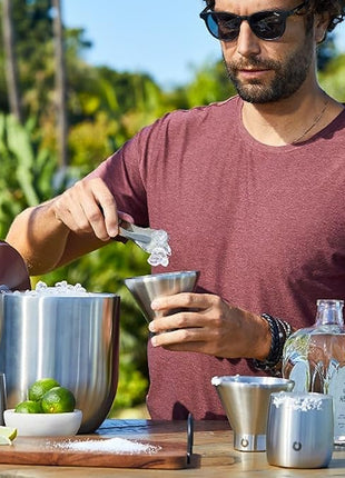 Snowfox Premium Vacuum Insulated Stainless Steel 22oz Cocktail Shaker and 4 Martini Glass Set, Home Bar Accessories, Elegant Drink Mixer, Leak Proof Lid & Built In Strainer, Gift Box