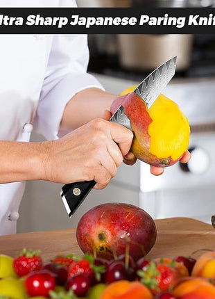 SHAN ZU Damascus Paring Knife Fruit Knife 4 Inch Professional Kitchen Knives, Japanese Damascus High Carbon Steel 67-Layer Fruit Carving Knives with G10 Handle/Gift Box