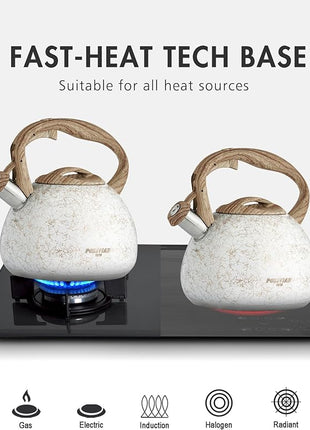 POLIVIAR Tea Kettle, Iron Grey Tea Pot Stovetop, 2.7 Quart Loud Whistling Coffee and Teapot, Food Grade Stainless Steel for Anti-Hot Handle and No-Rust, Suitable for All Heat Sources (JX2020-YB30)