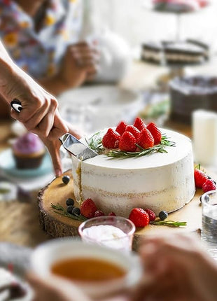 Cake Cutting Set for Wedding Cake Knife and Server Set, Cake Cutter and Pie Spatula, Cake Server and Knife Set of 2 (Plastic Handle, Silver)