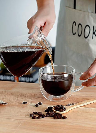 CNGLASS Double Wall Glass Cappuccino Mugs 8.1oz,Clear Insulated Glass Coffee Mug with Handle for Espresso,Latte,Tea,Set of 2