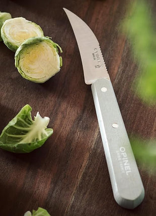 OPINEL Les Essentials - Small Kitchen 4 Piece Set - Paring, Serrated, Vegetable Knife, Peeler - Corrosion Resistant High Carbon Steel - Made in France (Primo)