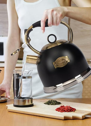 Tea Kettle -3.0 Quart Tea Kettles Stovetop Whistling Teapot Stainless Steel Tea Pots for Stove Top Whistle Tea Pot