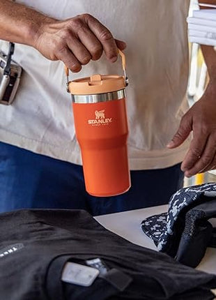 Stanley IceFlow Flip Straw Tumbler with Handle 20 oz | Twist On Lid and Flip Up Straw | Leak Resistant Water Bottle | Insulated Stainless Steel |BPA-Free | Tigerlily