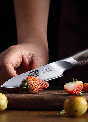 HOSHANHO 3.75 inch Paring Knife, Japanese High Carbon Stainless Steel Small Kitchen Knives, Ultra Sharp Fruit Knife with Ergonomic Pakkawood Handle