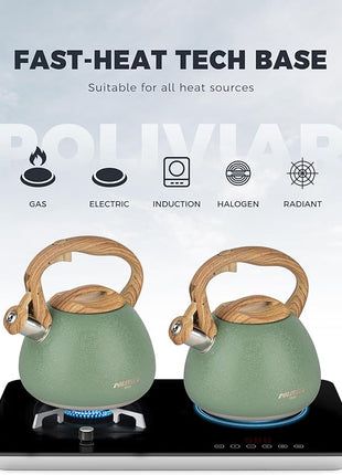 POLIVIAR Tea Kettle, 2.7 Quart Stovetop Tea Kettle, Audible Whistling Teapot with Crackle Finish, Food Grade Stainless Steel for Anti-Rust, Anti Hot Handle, Suitable for All Heat Sources (JX2023-LRG)
