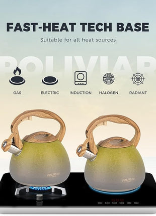 POLIVIAR Tea Kettle, 2.7 Quart Stovetop Tea Kettle, Audible Whistling Teapot with Crackle Finish, Food Grade Stainless Steel for Anti-Rust, Anti Hot Handle, Suitable for All Heat Sources (JX2023-LYG)