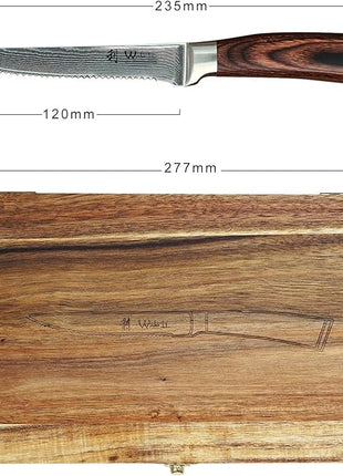 Wakoli EDIB 4-Piece Damascus Steak Knife Set – Professional Dining Kitchen Knives with VG10 Core Blades, 67-Layer Damascus Steel & Ergonomic Pakkawood Handles – Premium Steak Cutlery in Gift Box