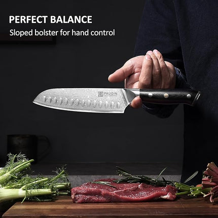 PAUDIN Damascus Knife Set 3 PCS, Japanese VG10 Steel Core, Ultra Sharp Chef Knife Set, Full Tang G10 Handle, Damascus Kitchen Knives