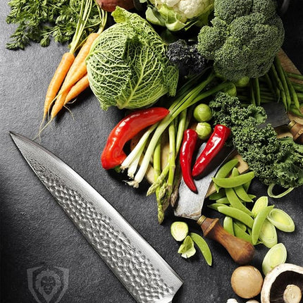 Dalstrong Chef Knife - 10.25 inch Blade - Shogun Series ELITE - Damascus - Japanese AUS-10V Super Steel - G10 Black Handle - Razor Sharp Kitchen Knife - Hammered Finish - Chef's Knife - Sheath