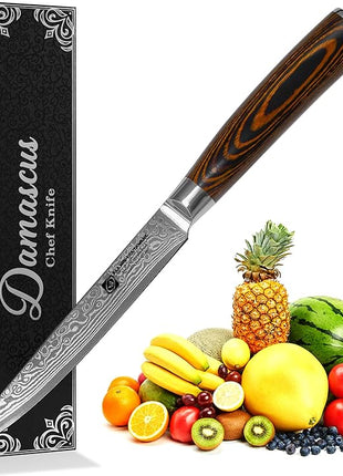 Damascus Utility Knife 5.5" Chef Knife Kitchen VG10 Stainless Steel Core 67-Layer Hand Forged Razor Sharp Edge Ergonomic Handle Precision Slicing Boning Trimming Carving Gift Idea