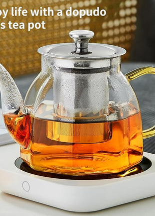 Glass Tea Pot with Stainless Steel Infuser and Lid (Octagonal), Clear Glass Teapot, Borosilicate Hydrochloric Glass Heat Resistant, Fine Glass Filter for Flower Tea, Tea Bags (27 oz / 800 ml)