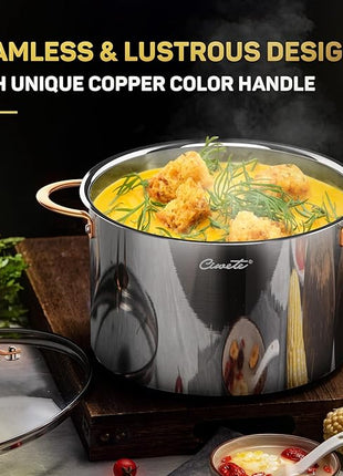 Stock Pot 12 Quart, 18/10 Tri-Ply Stainless Steel All Clad Stock Pot with Lid, Seamless 12 QT Cooking Pot with Copper Handle, Healthy Stockpots, Induction, Gas, Oven and Dishwasher Safe