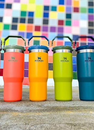 Stanley IceFlow Flip Straw Tumbler with Handle 30 oz | Twist On Lid and Flip Up Straw | Leak Resistant Water Bottle | Insulated Stainless Steel |BPA-Free | Polar