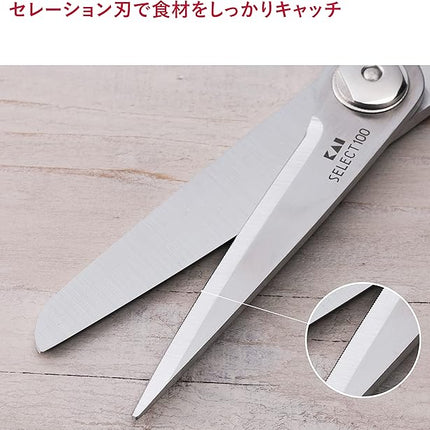 Kitchen Scissors (DH-3005)