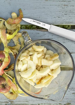 Dexter-Russell Sani-Safe 3¼" Paring Knives – 3 Pack, High Carbon Steel Blade, Slip-Resistant Handle, Professional Fruit & Vegetable Cutter, Chef Paring Tool for Precision Food Prep