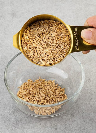 Set of 7 Heavy Duty Measuring Cups, 18/8 Stainless Steel with Ring Connector, Gold