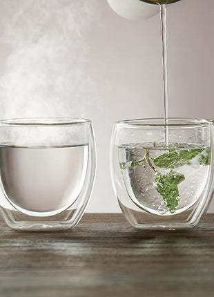 CNGLASS Double Wall Glass Espresso Cups 8.5 oz,Clear Insulated Glass Coffee Mug for Cappuccino,Tea,Set of 2