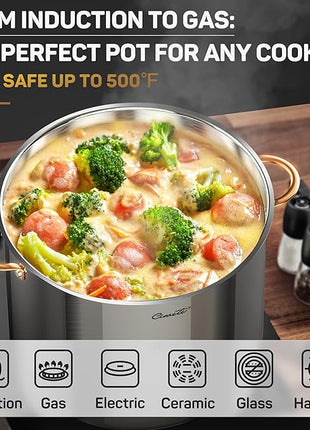 Stock Pot 20 Quart, 3 Ply Stainless Steel Stock Pot with Lid, 20 Quart Soup Pot with Copper Handle, Healthy Stockpots, Induction, Oven, Gas and Dishwasher Safe