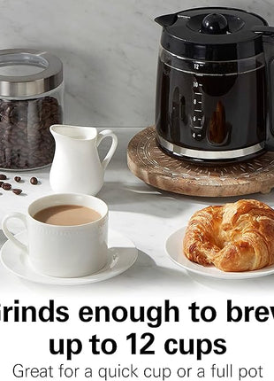 Hamilton Beach Fresh Grind Electric Coffee Grinder for Beans, Spices and More, Stainless Steel Blades, Removable Chamber, Makes up to 12 Cups, White