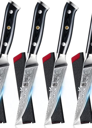KYOKU Gin Series Steak Knife Set of 4, 4.5" Steak Knives, Japanese VG10 Damascus Stainless Steel Kitchen Knife Set with Silver Ion Blades G10 Handles Mosaic Pins, Cutlery Set w/Sheaths & Case