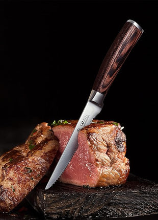 Wakoli EDIB 4-Piece Damascus Steak Knife Set – Professional Dining Kitchen Knives with VG10 Core Blades, 67-Layer Damascus Steel & Ergonomic Pakkawood Handles – Premium Steak Cutlery in Gift Box