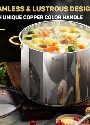 Stock Pot 20 Quart, 3 Ply Stainless Steel Stock Pot with Lid, 20 Quart Soup Pot with Copper Handle, Healthy Stockpots, Induction, Oven, Gas and Dishwasher Safe