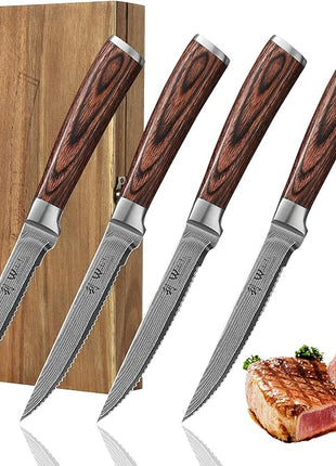 Wakoli EDIB 4-Piece Damascus Steak Knife Set – Professional Dining Kitchen Knives with VG10 Core Blades, 67-Layer Damascus Steel & Ergonomic Pakkawood Handles – Premium Steak Cutlery in Gift Box