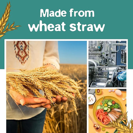 Teivio 40-Piece Kitchen Plastic Wheat Straw Dinnerware Sets for 4, Dinner Plates, Dessert Plate, Cups, Flatware, Dishwasher Safe, Colorful Unbreakable Apartment Outdoor RV Dishes, Autumn Multicolor