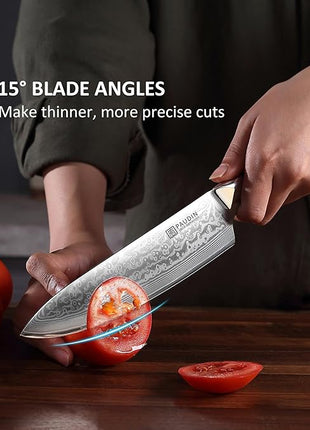 PAUDIN Damascus Chef Knife, 8 Inch Kitchen Knife, 67 Layers Damascus Steel Knife Japanese VG10 Core, Professional Chefs Knife with Ergonomic G10 Handle